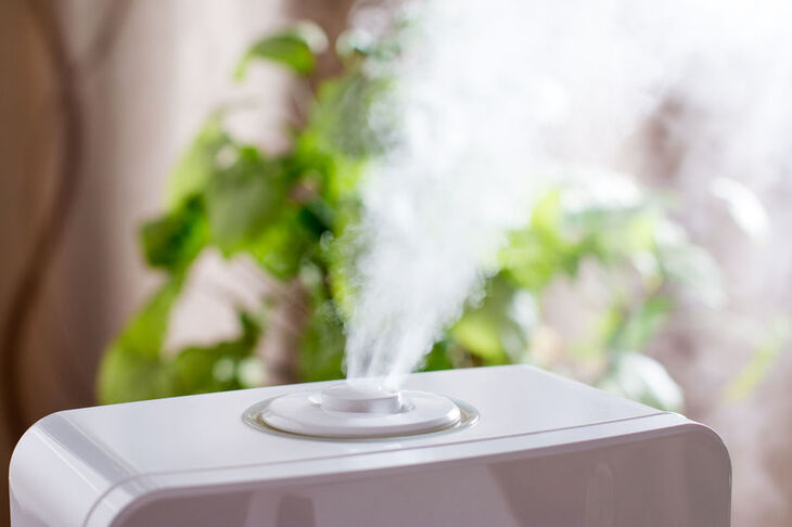 Najlepszym sposobem usunięcia alergenów z otoczenia są oczyszczacze powietrza