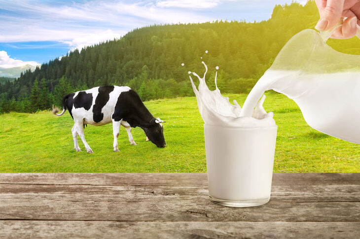 Siarka organiczna występuje w niepasteryzowanym krowim mleku 