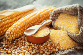 Kasza kukurydziana i kolby kukurydzy