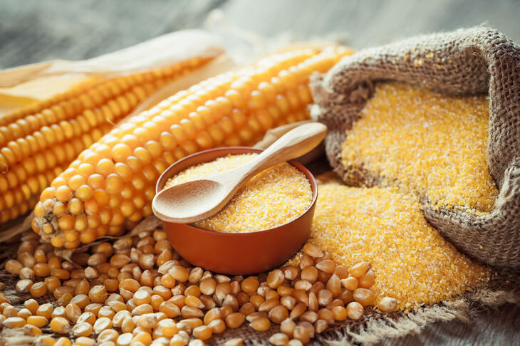 Kasza kukurydziana i kolby kukurydzy