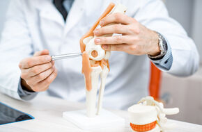 Ortopeda trzyma w dłoniach model kolana 