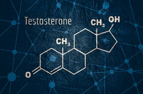 Wzór chemiczny testosteronu