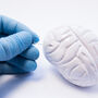 Model mózgu człowieka nakłuwany szpilką