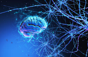 Wizualizacja mózgu i synaps 