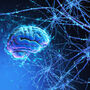 Wizualizacja mózgu i synaps 