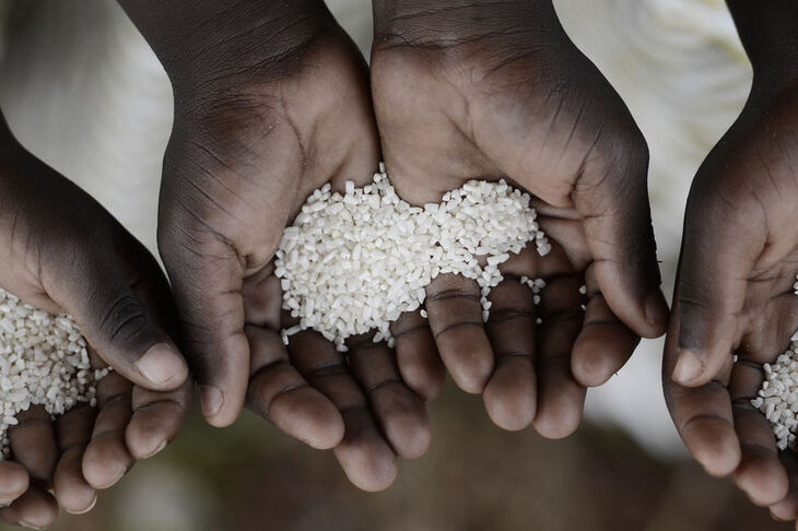 Afrykańskie dzieci trzymają w dłoniach ryż
