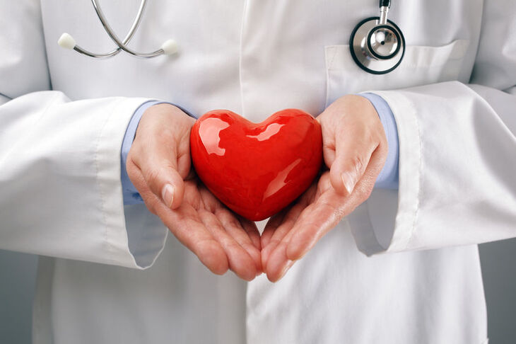 Kardiolog trzyma model serca