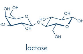 Laktoza