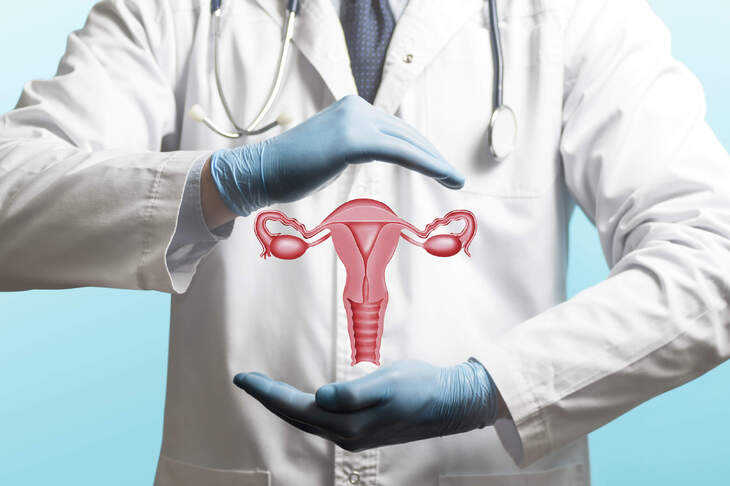 Ginekolog trzyma model 3D macicy kobiety