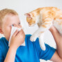 Dziecki mają często alergię na koty i psy