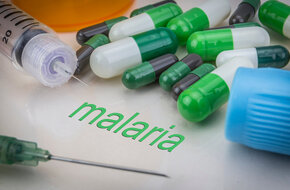 Malaria to choroba tropikalna