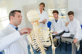 Lekarze oglądają model szkieletu