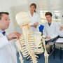 Lekarze oglądają model szkieletu