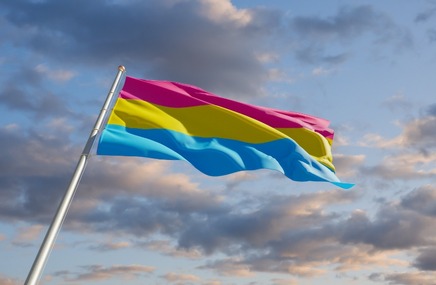 Flaga panseksualizmu