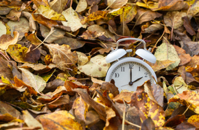 Zegarek wśród jesiennych liści jako symbol wpływu zmiany czasu na zdrowie