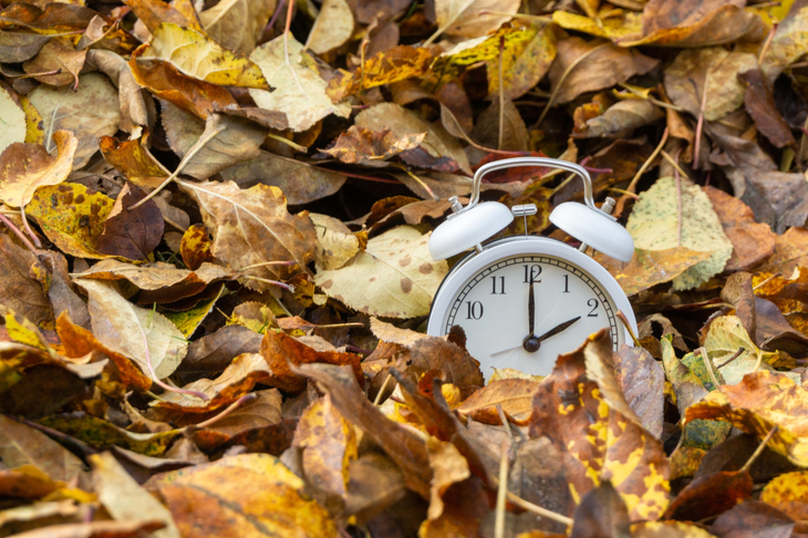 Zegarek wśród jesiennych liści jako symbol wpływu zmiany czasu na zdrowie
