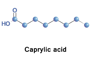 Wzór chemiczny kwasy kaprylowego