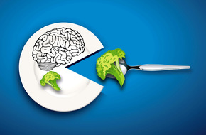 Mózg kontrolujący uczucie sytości po jedzeniu