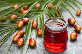 Butelka oleju palmowego wraz z owocami