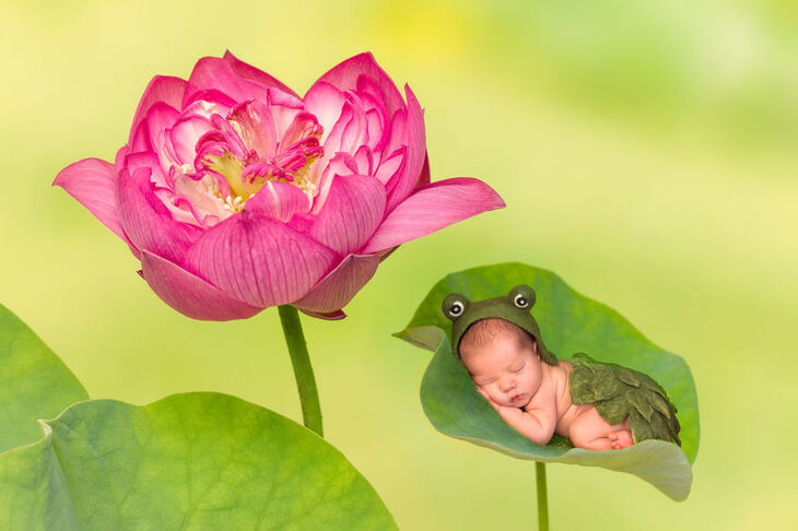 Kwiat lotosu i noworodek