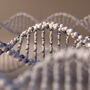Łańcuch DNA