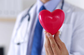 Lekarz trzymający w dłoni plastikowe serce