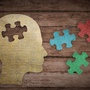 Mózg człowieka oraz trzy puzzle