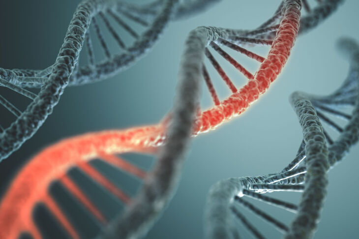 Łańcuch DNA człowieka