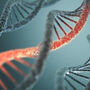 Łańcuch DNA człowieka