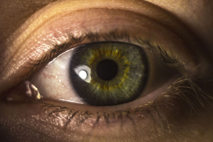 Oko człowieka