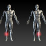 Goleń czyli element anatomiczny nogi człowieka
