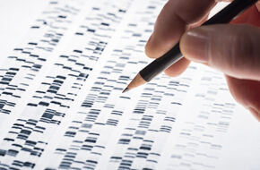 Badanie DNA
