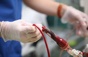Transfuzja krwi