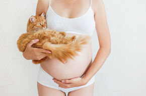 Kobieta w ciąży trzymająca kota 